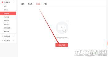 视频原创怎么发到头条,轻松制作概述文章与副标题